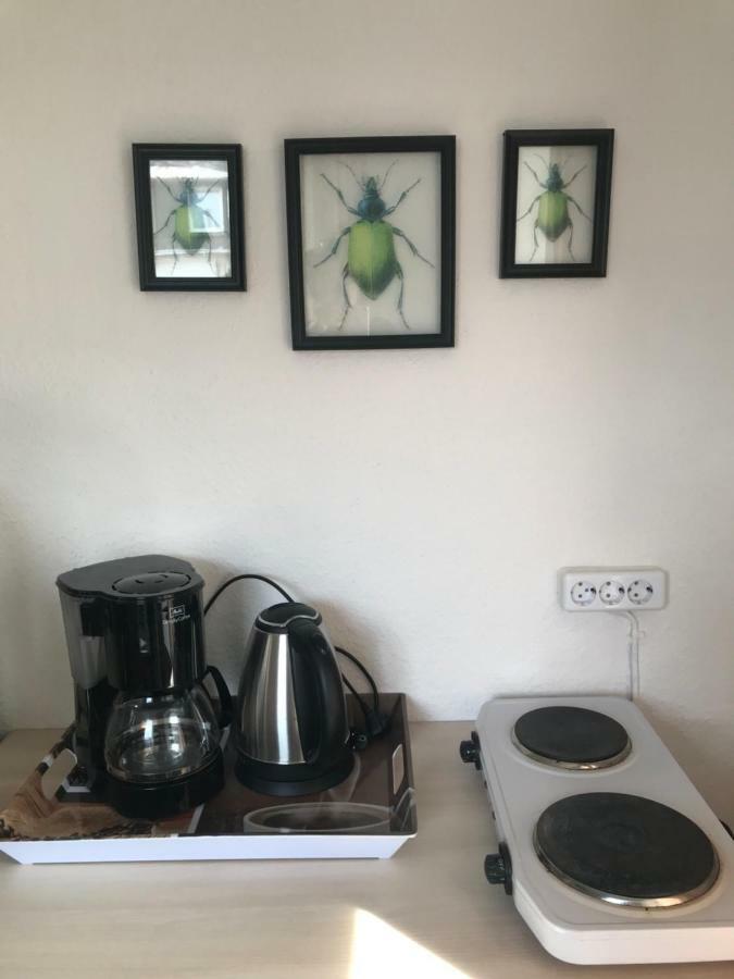Ferienwohnung In Ediger Eller المظهر الخارجي الصورة
